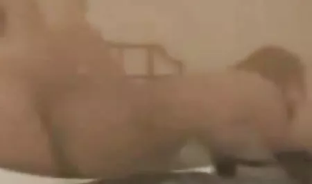 गुदा के अलावा वेश्या हिन्दी मे सेक्सी फिल्म कुछ भी नहीं पहचानती है