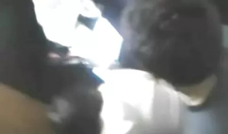 तंग बिल्ली, घर हिंदी सेक्सी फिल्म सेक्सी फिल्म हिंदी का बना में रसदार सेक्स