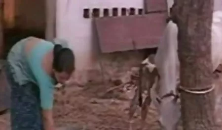 क्यूनिलिंगस से सेक्सी फिल्म करने वाली सेक्सी एक अविश्वसनीय संभोग