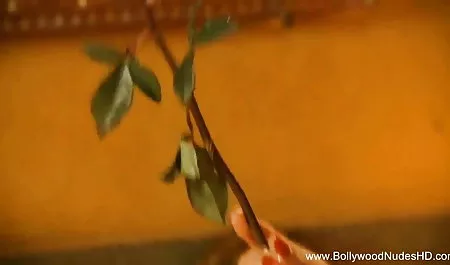 नशे में वीडियो फिल्म सेक्सी हिंदी में छेद के साथ बातचीत करना हमेशा आसान होता है