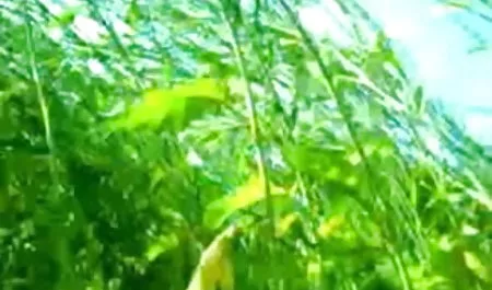 मछली पकड़ने के बजाय, मैंने झील पर हिंदी सेक्सी पिक्चर मूवी एक प्रेमिका की हत्या की
