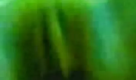दोस्तों घर पर सेक्स करो सेक्सी मूवी वीडियो हिंदी
