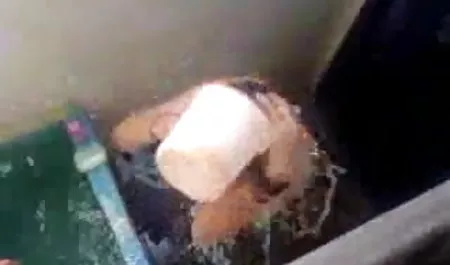 लानत हिंदी वीडियो सेक्सी फुल मूवी है, श्यामला, बिल्ली, लिंग